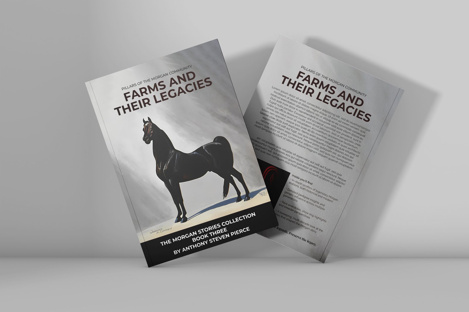 gallery-images-of-horses