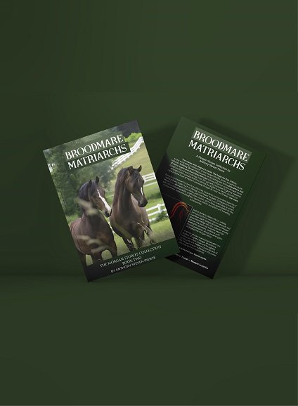 gallery-images-of-horses