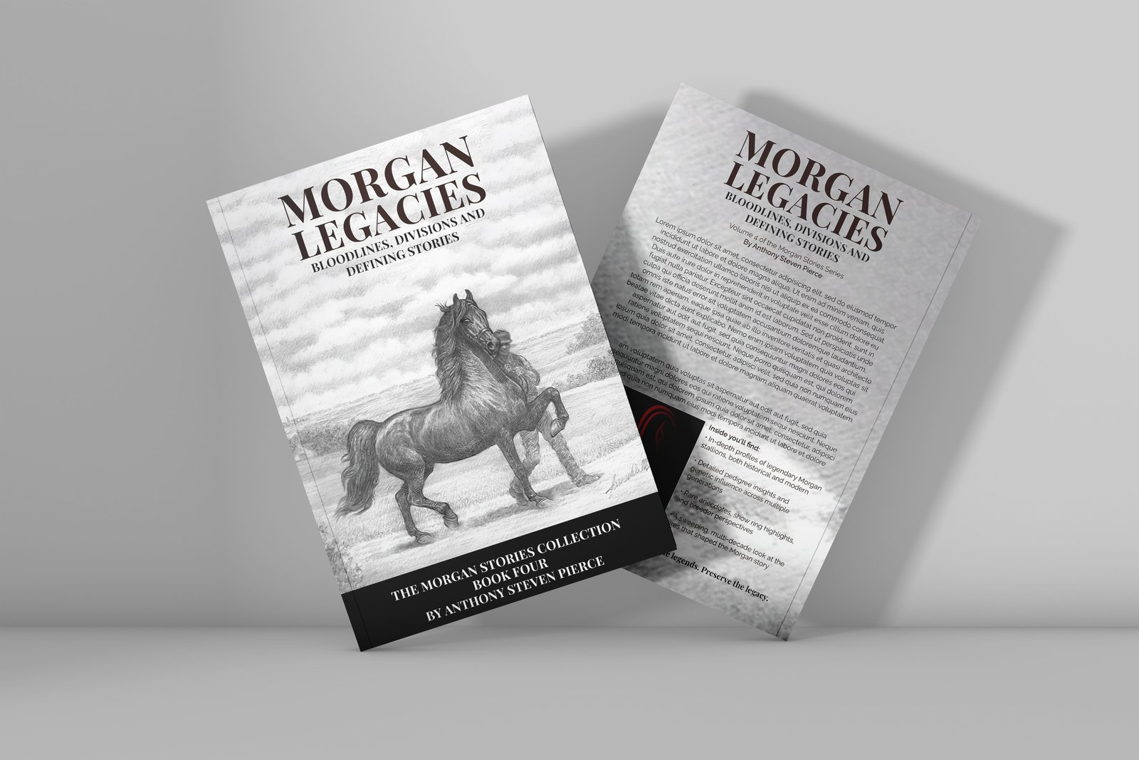 gallery-images-of-horses